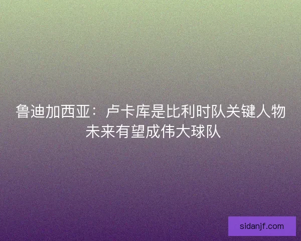 鲁迪加西亚：卢卡库是比利时队关键人物 未来有望成伟大球队